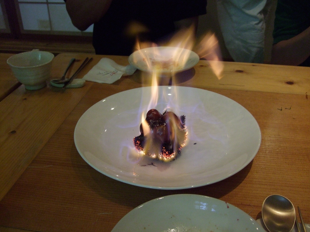 resize_0907050025.JPG